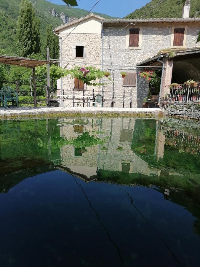 La Raccolta Apartment Scheggino Exterior photo